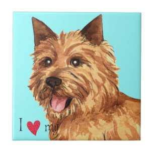 Carreau J'aime mon Norwich Terrier
