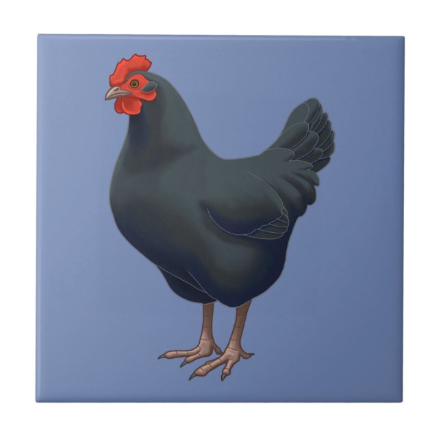Carreau J'aime mon poulet australorp (Devant)