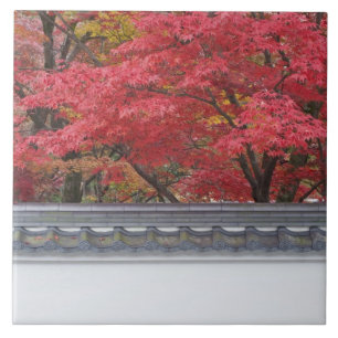 Carreau Japon, Kyoto, Couleurs d'automne au temple Eikando
