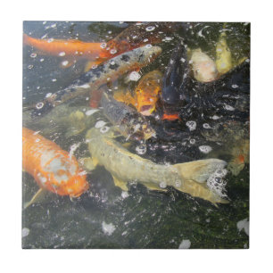 Carreau Japonais Carpe Koi Poisson Natation