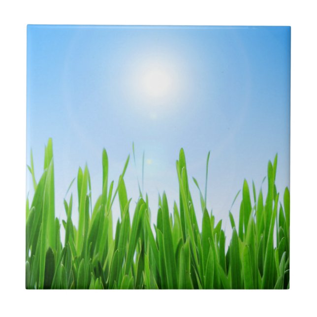 Carreau Jardin à l'herbe verte avec conception de ciel ble (Devant)