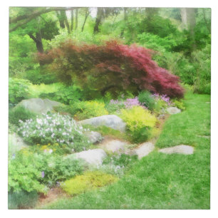 Carreau Jardin avec érable japonais