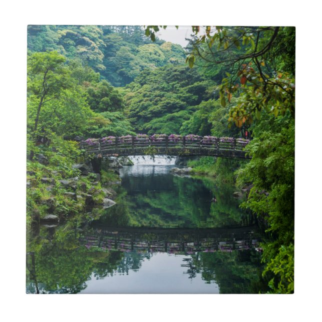 Carreau Jardin Coréen Et Pont (Devant)