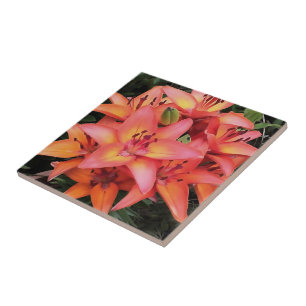 Carreau Jardin de couleur corail artistique Lys