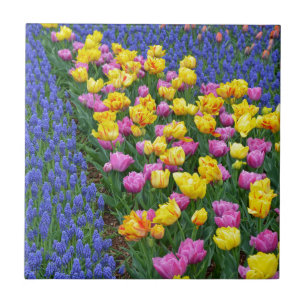 Carreau Jardin de fleurs de tulipes et de coquilles bleues