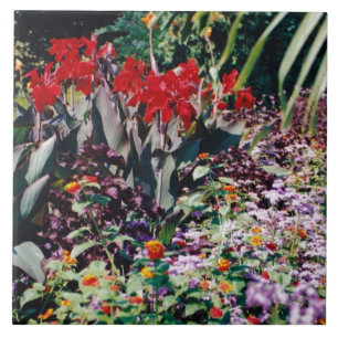 Carreau Jardin de guérison