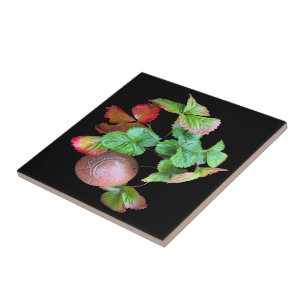 Carreau Jardin de la saison des fraises