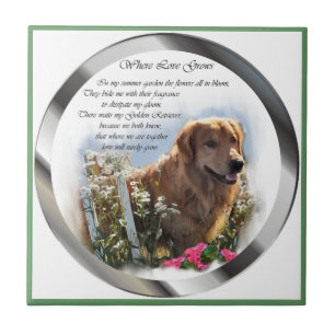 Carreau Jardin d'été Golden Retriever