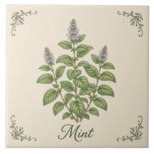 Carreau Jardin d'herbes de cuisine botanique vert menthe v