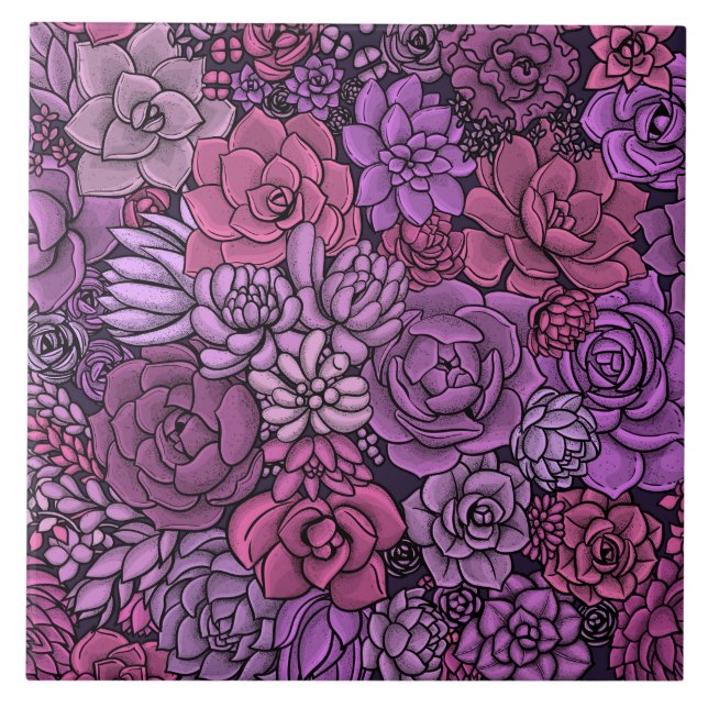 Carreau Jardin succulent en rose et violet (Devant)