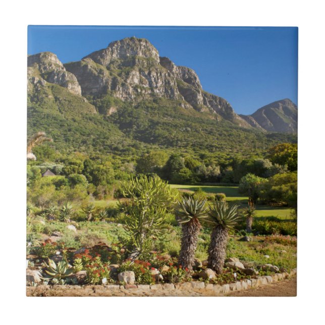 Carreau Jardins botaniques de Kirstenbosch, Le Cap (Devant)