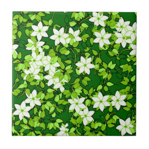 Carreau Jasmin Blanc Parmi Les Feuilles Verts