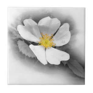 Carreau jaune dans les tons gris