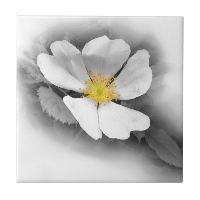 Carreau jaune dans les tons gris (Devant)