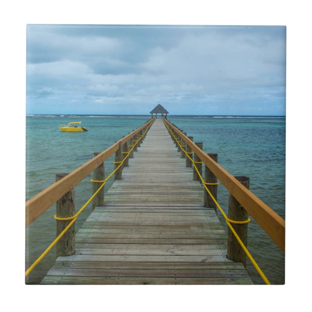Carreau Jetée sur la côte de corail, Fidji (Devant)