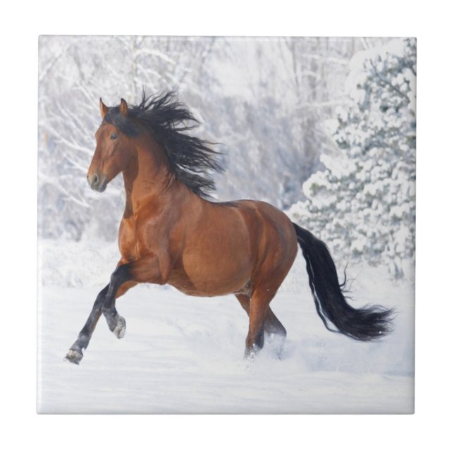 Carreau Jeu de cheval dans la neige (Devant)
