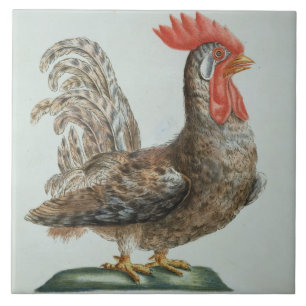 Carreau Jeune coq nain, c.1767-76 (gravure colorée par