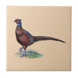 Carreau Joli Bague Cou Pheasant Tan