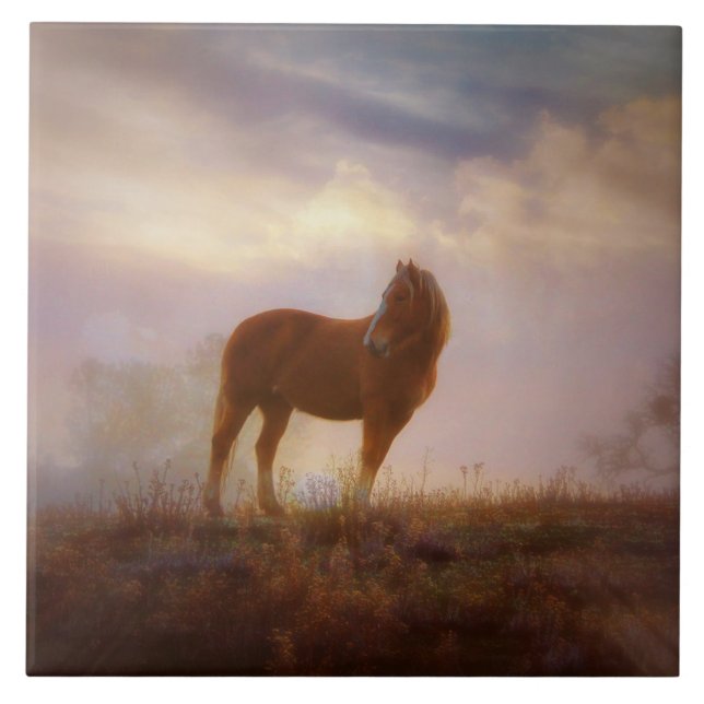 Carreau Joli Carrelage d'art Palomino Mustang (Devant)