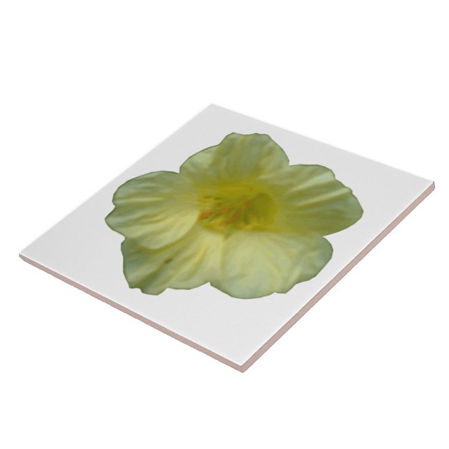 Carreau Joli Carrelage Nasturtium (Côté)