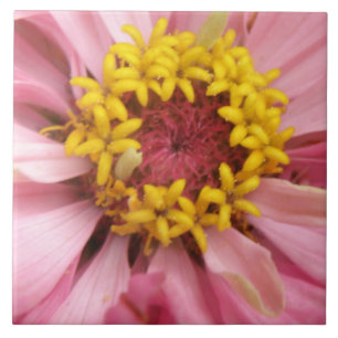 Carreau Joli Carrelage rose Zinnia