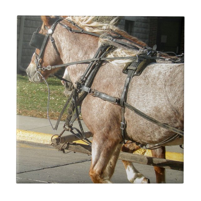 Carreau Joli cheval (Devant)