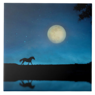 Carreau Joli cheval et lune avec ciel bleu
