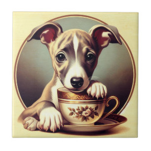 Carreau Joli chiot Whippet