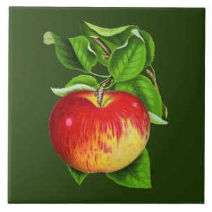 Carreau Joli décor de cuisine Apple vintage