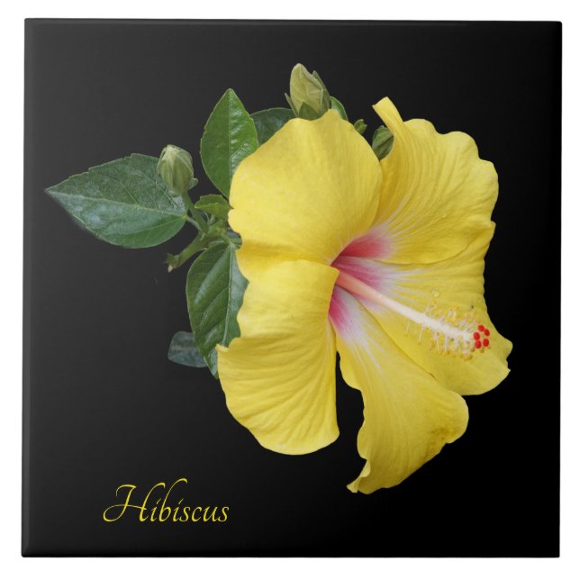 Carreau Joli hibiscus jaune sur noir (Devant)