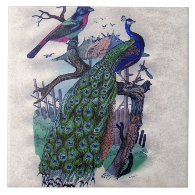 Carreau Joli paon avec l'oiseau (Devant)