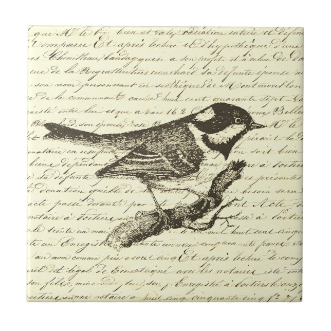 Carreau Joli Petit Oiseau Vintage français Script Beige (Devant)