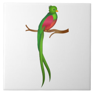 Carreau Joli Quetzal