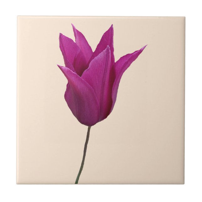 Carreau Joli rose tulip hollandais floral boho mignon girl (Devant)