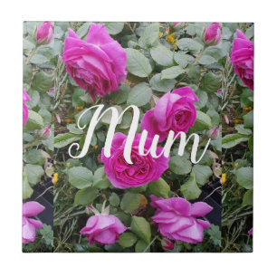 Carreau Joli rose Vintage Rose Fleur Anniversaire Mum Trin