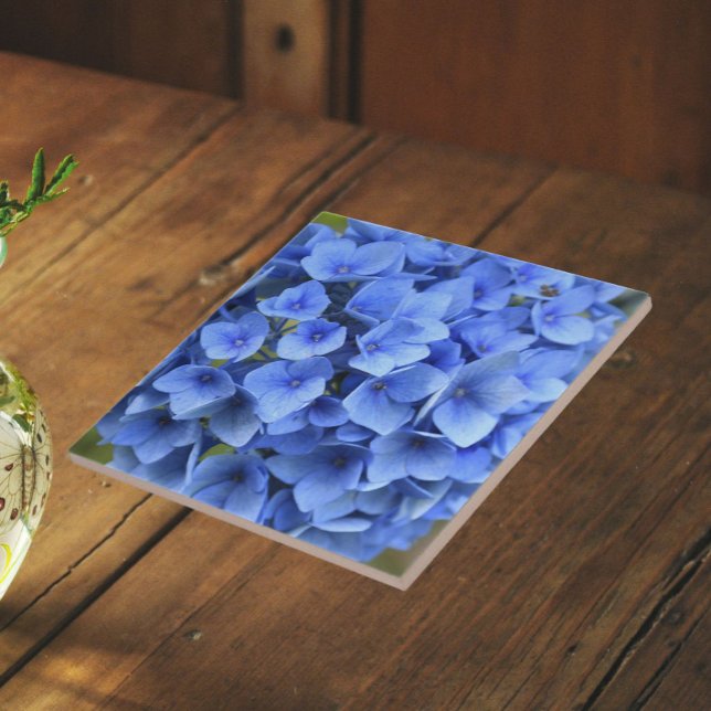 Carreau Jolie Hydrangea Bleue Fleur Florale (In Situ)