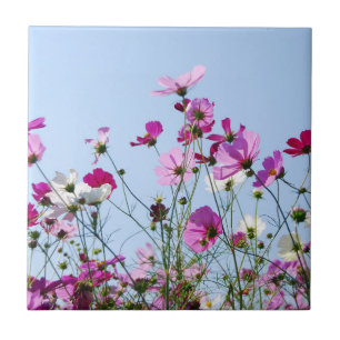 Carreau Jolie Prairie aux Fleurs Violettes