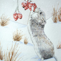 jolie souris neige