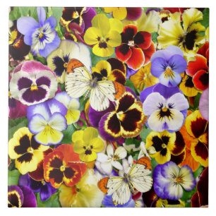 Carreau Jolies Pansies et papillons