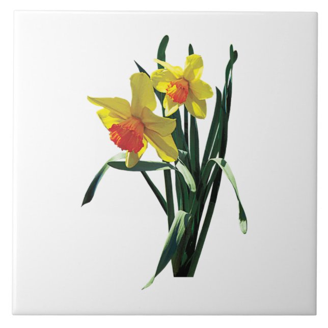 Carreau Jonquilles curieuses (Devant)