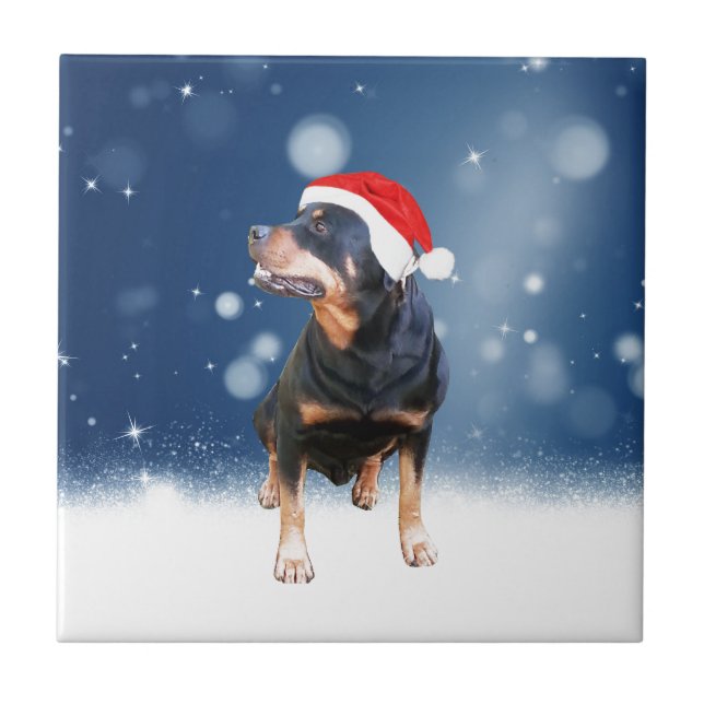 Carreau Jote Rottweiler Chien Noël Santa Hat Étoiles de ne (Devant)