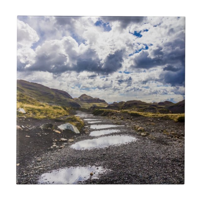 Carreau Jour De Pluie À Torres Del Paine NP (Devant)