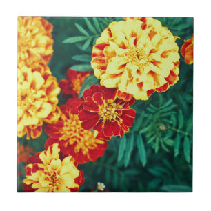 Carreau Joyeuse Fleurs de Marigold brillant Floral