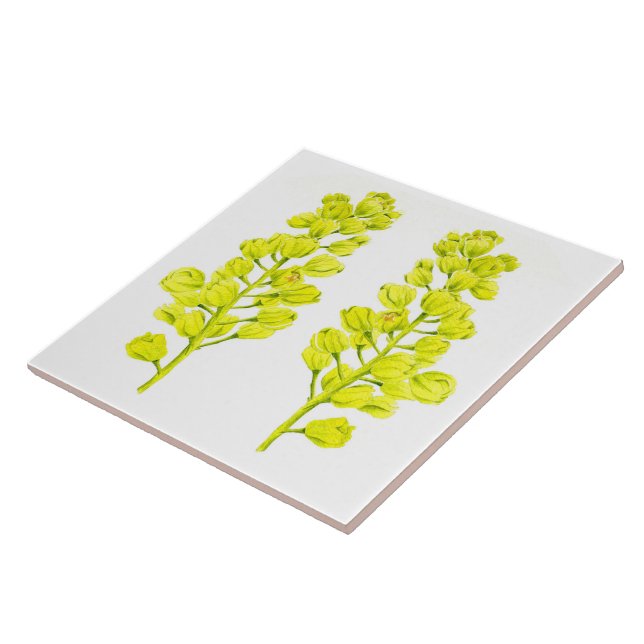 Carreau 'Joyeuses Maples' sur un carrelage en céramique (I (Côté)