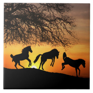 Carreau Joyeux Carrelage d'Art Cheval