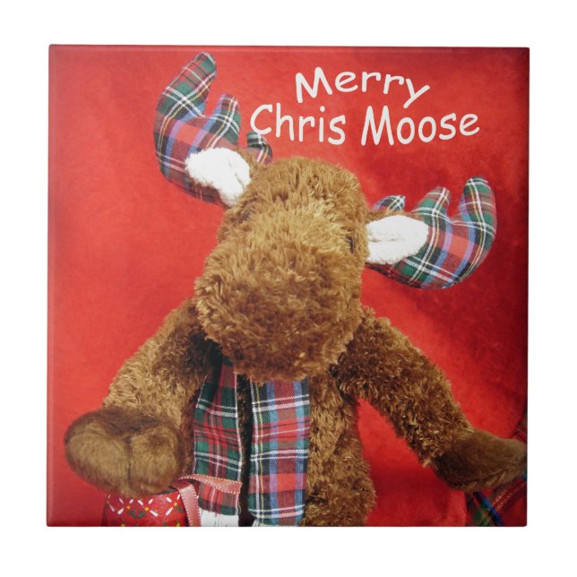 Carreau Joyeux Chris Moose (Devant)