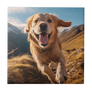Carreau Joyeux Golden Retriever en cours