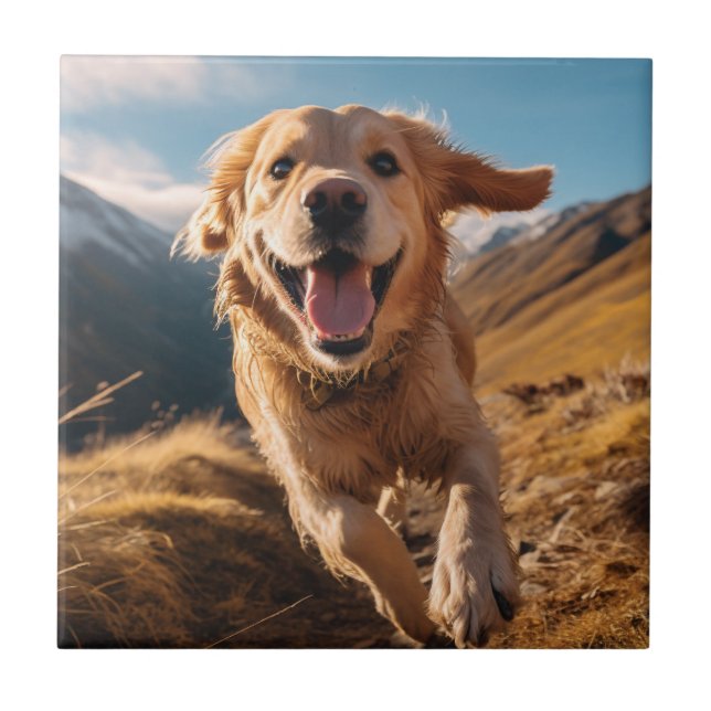 Carreau Joyeux Golden Retriever en cours (Devant)