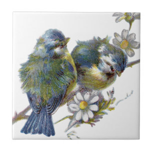 Carreau Joyeux Oiseaux Rétro