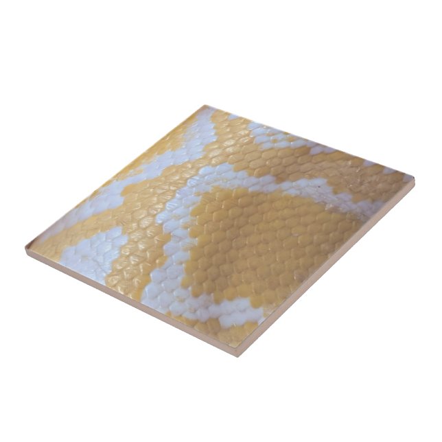 Carreau Joyeux serpent d'anniversaire (Côté)